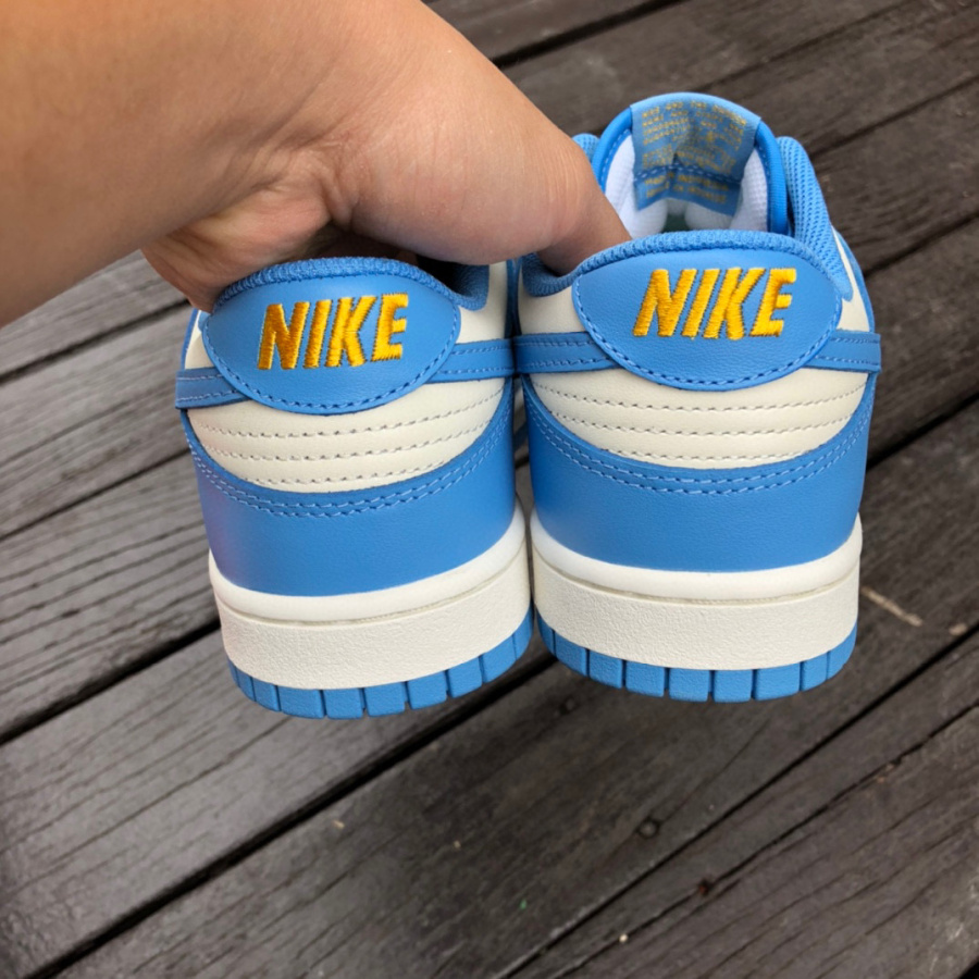 air jordan dunk low coast