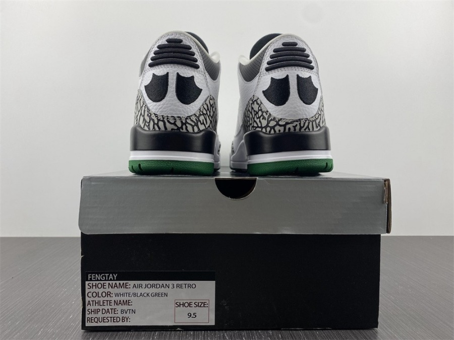 jordan 3 ducks